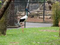 0087_FeatherdaleWildlifePark.jpg &ndash; &copy; Rebekka Böhme (Eberhardt TRAVEL)