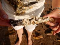 0203_Darwin.jpg &ndash; &copy; Rebekka Böhme (Eberhardt TRAVEL)