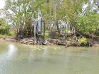 0263_YellowRiver.jpg &ndash; &copy; Rebekka Böhme (Eberhardt TRAVEL)