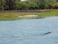 0264_YellowRiver.jpg &ndash; &copy; Rebekka Böhme (Eberhardt TRAVEL)