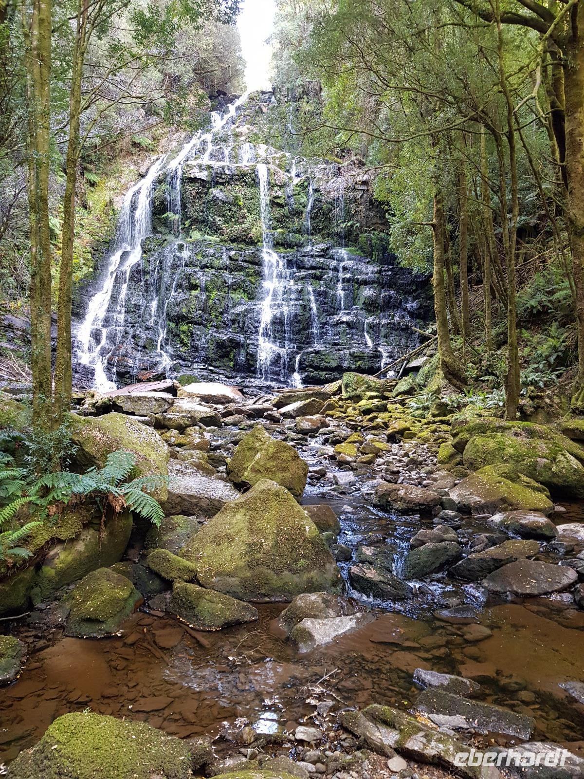 Nelson Wassefälle im Franklin-Gordon-Nationalpark &ndash; &copy; Madlen Lippe (Eberhardt TRAVEL)