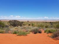 Im Outback &ndash; &copy; Madlen Lippe (Eberhardt TRAVEL)