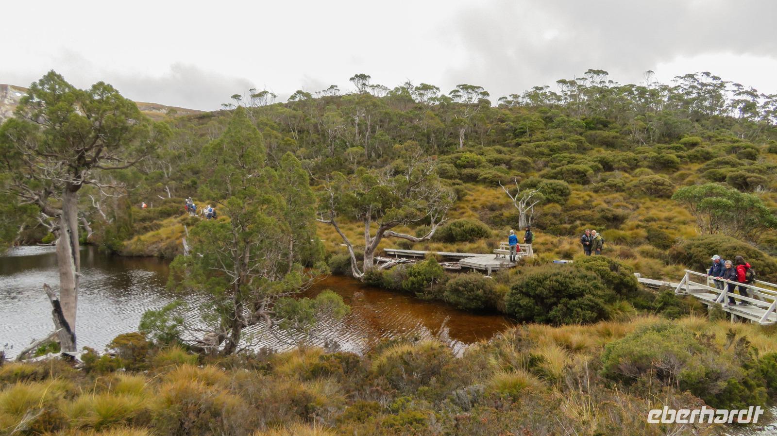 Cradle Mountain Nationalpark, Tasmanien &ndash; &copy; Anna Stiebing (Eberhardt TRAVEL)