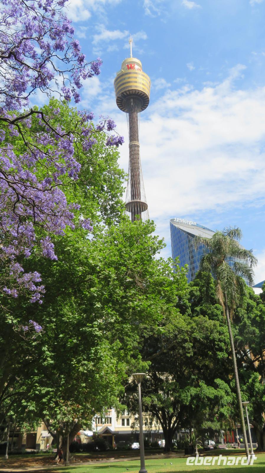 Sydney Eye &ndash; &copy; Anna Stiebing (Eberhardt TRAVEL)