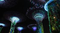Super Tree Grove, Singapur &ndash; &copy; Anna Stiebing (Eberhardt TRAVEL)