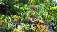 Orchideengarten Singapur &ndash; &copy; Anna Stiebing (Eberhardt TRAVEL)