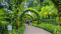 Orchideengarten Singapur &ndash; &copy; Anna Stiebing (Eberhardt TRAVEL)