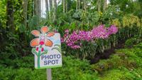 Orchideengarten Singapur &ndash; &copy; Anna Stiebing (Eberhardt TRAVEL)