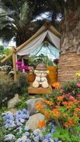 Flower Dome, Singapur &ndash; &copy; Anna Stiebing (Eberhardt TRAVEL)