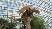 Flower Dome, Singapur &ndash; &copy; Anna Stiebing (Eberhardt TRAVEL)