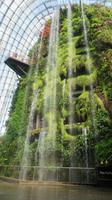 Cloud Forest, Singapur &ndash; &copy; Anna Stiebing (Eberhardt TRAVEL)