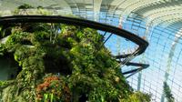 Cloud Forest, Singapur &ndash; &copy; Anna Stiebing (Eberhardt TRAVEL)