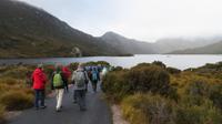 Cradle Mountain Nationalpark, Tasmanien &ndash; &copy; Anna Stiebing (Eberhardt TRAVEL)