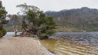 Cradle Mountain Nationalpark, Tasmanien &ndash; &copy; Anna Stiebing (Eberhardt TRAVEL)