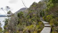 Cradle Mountain Nationalpark, Tasmanien &ndash; &copy; Anna Stiebing (Eberhardt TRAVEL)