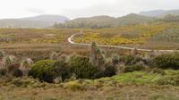 Suchbild: Wo ist das Wombat? &ndash; &copy; Anna Stiebing (Eberhardt TRAVEL)