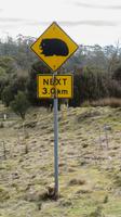 Wombat next 3 km &ndash; &copy; Anna Stiebing (Eberhardt TRAVEL)