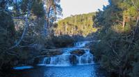 Morgenspaziergang nahe Peppers Cradle Mountain Lodge &ndash; &copy; Anna Stiebing (Eberhardt TRAVEL)