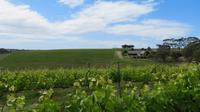 McLaren Weingebiet &ndash; &copy; Anna Stiebing (Eberhardt TRAVEL)