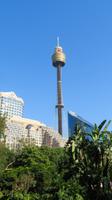 Sydney Eye &ndash; &copy; Anna Stiebing (Eberhardt TRAVEL)