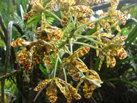 Im Botanischen Garten  (10) &ndash; &copy; Anett Scheffler (Eberhardt TRAVEL)