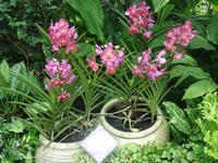 Im Botanischen Garten  (5) &ndash; &copy; Anett Scheffler (Eberhardt TRAVEL)