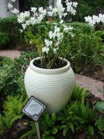 Im Botanischen Garten  (6) &ndash; &copy; Anett Scheffler (Eberhardt TRAVEL)