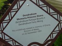 Im Botanischen Garten  (7) &ndash; &copy; Anett Scheffler (Eberhardt TRAVEL)