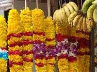 Little India (2) &ndash; &copy; Anett Scheffler (Eberhardt TRAVEL)