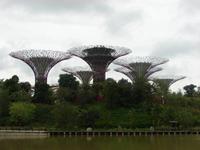 Stippvisite im Garden on the Bay (2) &ndash; &copy; Anett Scheffler (Eberhardt TRAVEL)