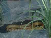 Im Federal Wildlife Park (1) &ndash; &copy; Anett Scheffler (Eberhardt TRAVEL)