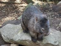 Im Federal Wildlife Park (10) &ndash; &copy; Anett Scheffler (Eberhardt TRAVEL)