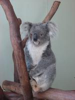 Im Federal Wildlife Park (11) &ndash; &copy; Anett Scheffler (Eberhardt TRAVEL)