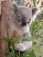 Im Federal Wildlife Park (13) &ndash; &copy; Anett Scheffler (Eberhardt TRAVEL)