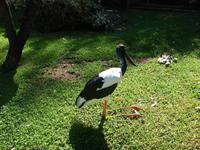 Im Federal Wildlife Park (16) &ndash; &copy; Anett Scheffler (Eberhardt TRAVEL)