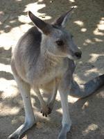Im Federal Wildlife Park (17) &ndash; &copy; Anett Scheffler (Eberhardt TRAVEL)