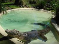 Im Federal Wildlife Park (3) &ndash; &copy; Anett Scheffler (Eberhardt TRAVEL)