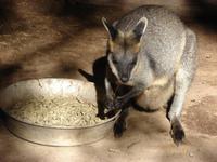 Im Federal Wildlife Park (9) &ndash; &copy; Anett Scheffler (Eberhardt TRAVEL)
