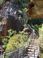 In den Blue Mountains (2) &ndash; &copy; Anett Scheffler (Eberhardt TRAVEL)