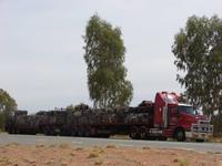 Auf dem Weg von Alice zum Uluru (10) &ndash; &copy; Anett Scheffler (Eberhardt TRAVEL)