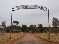 Auf dem Weg von Alice zum Uluru (8) &ndash; &copy; Anett Scheffler (Eberhardt TRAVEL)