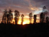 Sonnenaufgang am Uluru (5) &ndash; &copy; Anett Scheffler (Eberhardt TRAVEL)