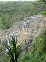 Skyrail nach Kuranda (10) &ndash; &copy; Anett Scheffler (Eberhardt TRAVEL)