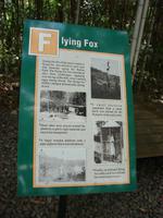 Skyrail nach Kuranda (11) &ndash; &copy; Anett Scheffler (Eberhardt TRAVEL)