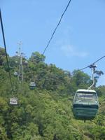 Skyrail nach Kuranda (3) &ndash; &copy; Anett Scheffler (Eberhardt TRAVEL)