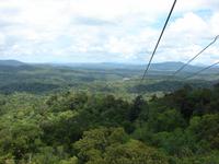Skyrail nach Kuranda (8) &ndash; &copy; Anett Scheffler (Eberhardt TRAVEL)