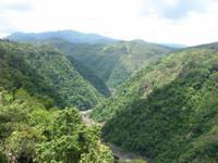 Skyrail nach Kuranda (9) &ndash; &copy; Anett Scheffler (Eberhardt TRAVEL)