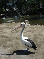 Im Rainforest Habitat Wildlifepark (11) &ndash; &copy; Anett Scheffler (Eberhardt TRAVEL)