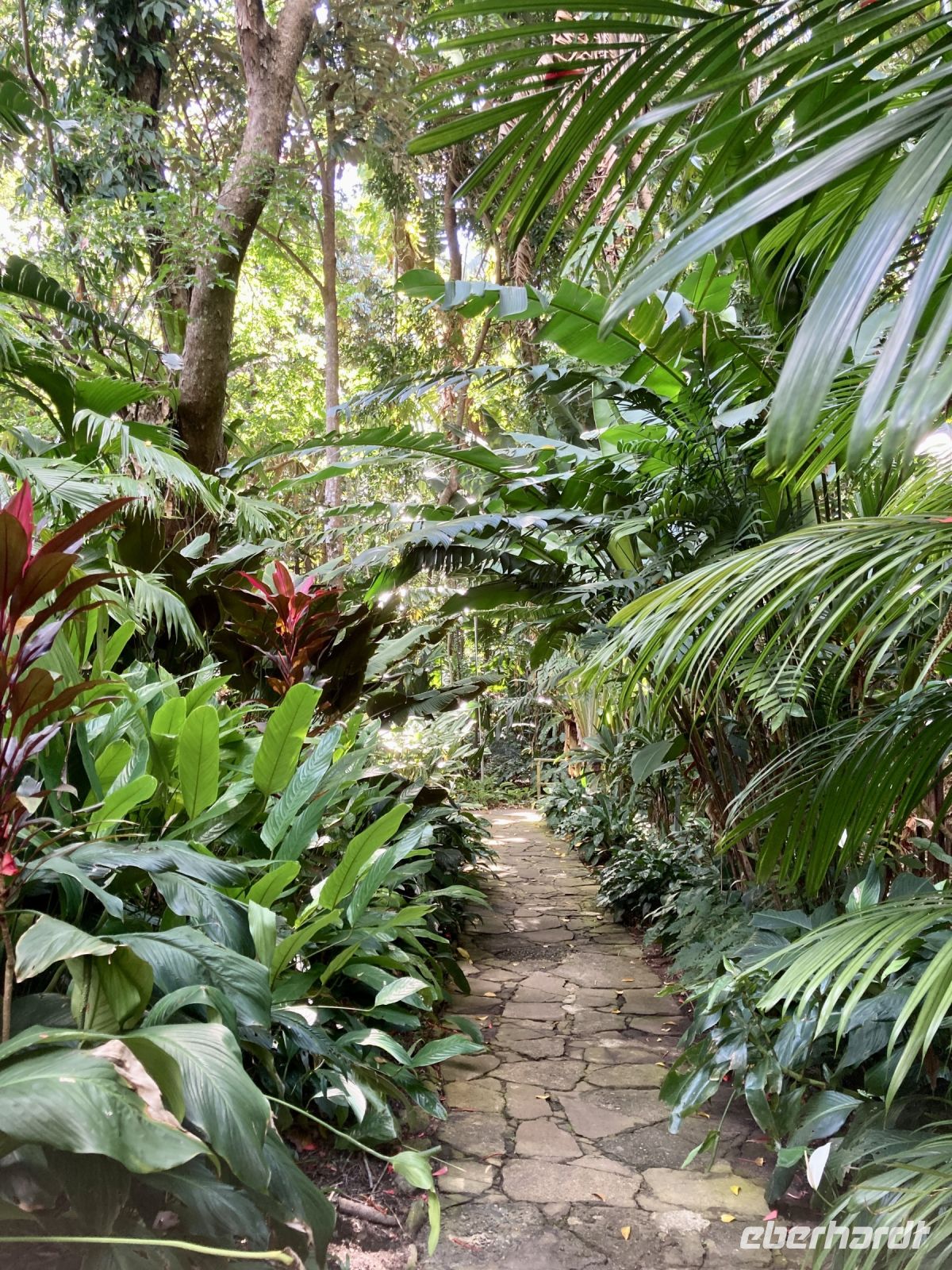 Botanischer Garten &ndash; &copy; Mareike Schmidt (Eberhardt TRAVEL)