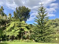 Botanischer Garten &ndash; &copy; Mareike Schmidt (Eberhardt TRAVEL)